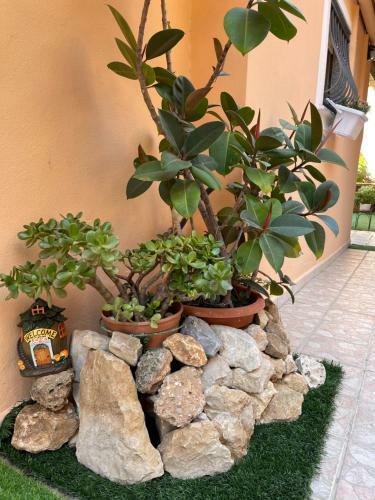 Apartamento Foryourrest