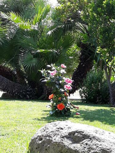 Hostal Villa Marianna
