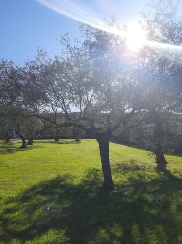Hostal Villa Marianna