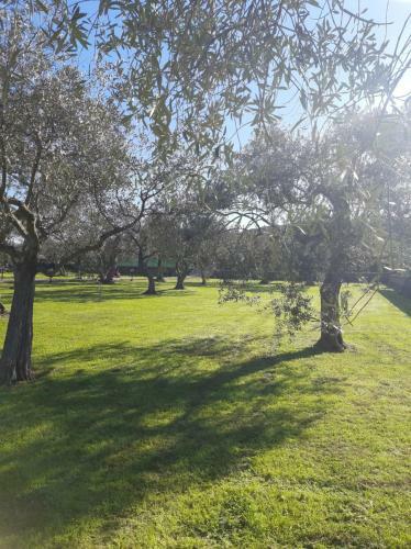 Hostal Villa Marianna