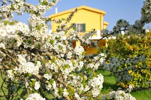 Villa Country Alguerhouse