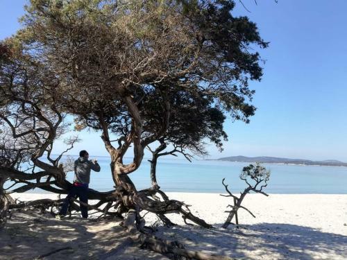 Bed & Breakfast L'anfora
