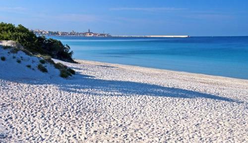 Bed & Breakfast L'anfora