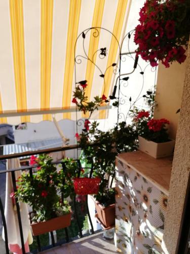 Bed & Breakfast L'anfora