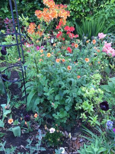 Bed & Breakfast Foxley Brow House