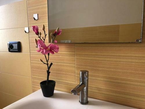 Apartamento Alghero Appartamento In Centro Con Garage
