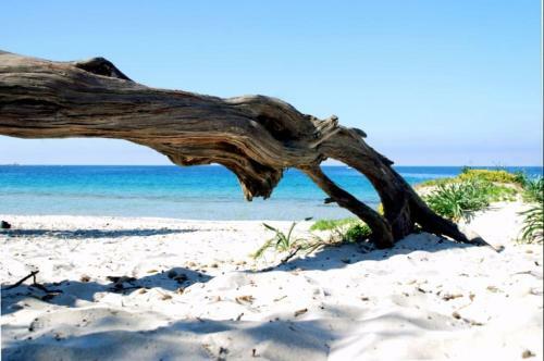 Villa Indipendente A Ridosso Della Spiaggia Per 12 Persone
