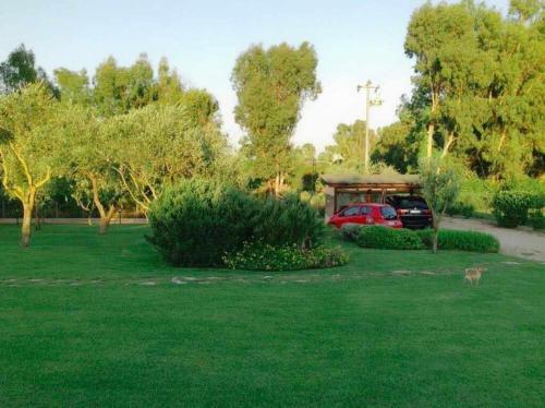 Villa Con Piscina A 2km Dal Mare Di Alghero Con AC E Wifi Per 8