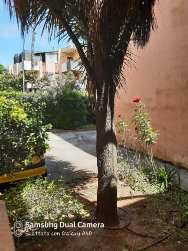 Apartamento Giogio