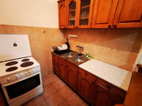 Ohrid Strict Center Apartment