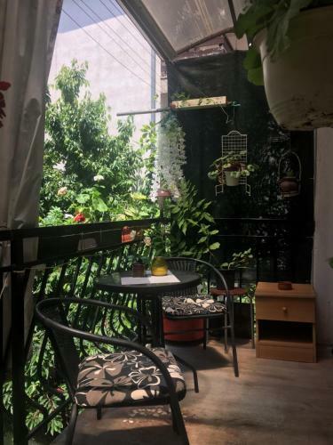 Ani Apartment