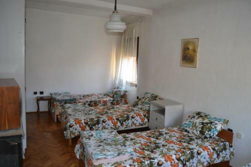 Hostel Valentin