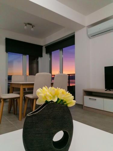 Apartments St.martinia