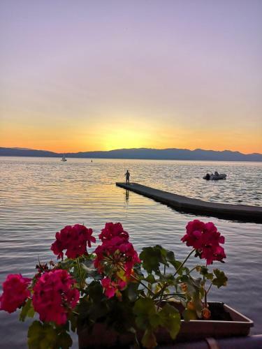 Hotel Villa Nika - Pestani , Ohrid