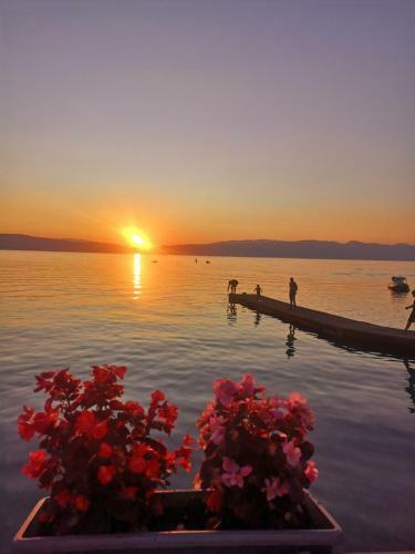 Hotel Villa Nika - Pestani , Ohrid