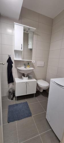 Svir Skyline Apartment No 39