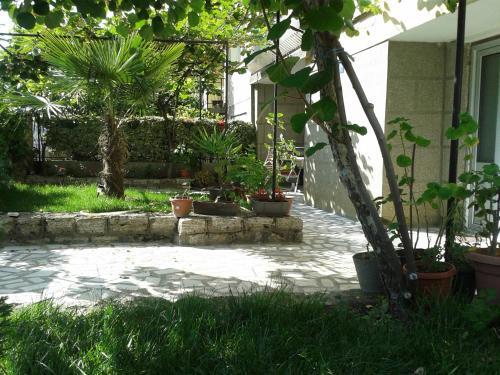 Apartamento Ana's House