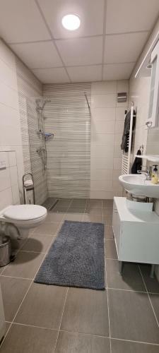 Svir Deluxe Apartment No 8