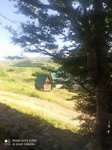 Katun Ljeljenak