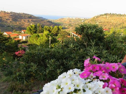 Bed & Breakfast Camere Granatelli