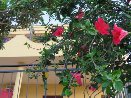 Bed & Breakfast Camere Granatelli