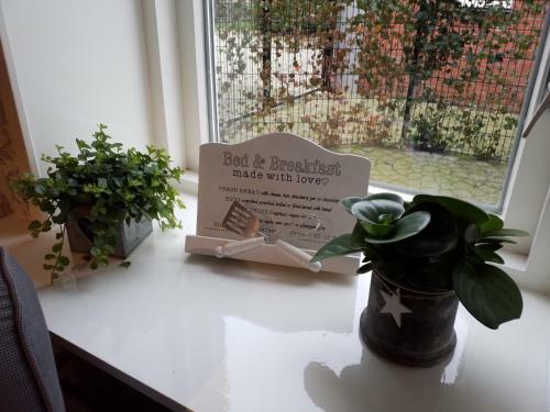 Apartamento B&B Poort Van Westerwolde