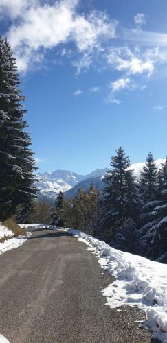 Apartamento Ski Pied Des Pistes