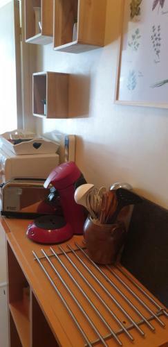 Apartamento Ski Pied Des Pistes