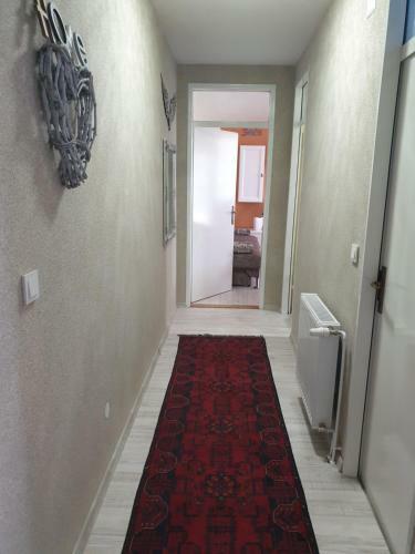 Apartamento Ivana 2