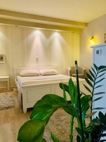 Apartamento Black Amber