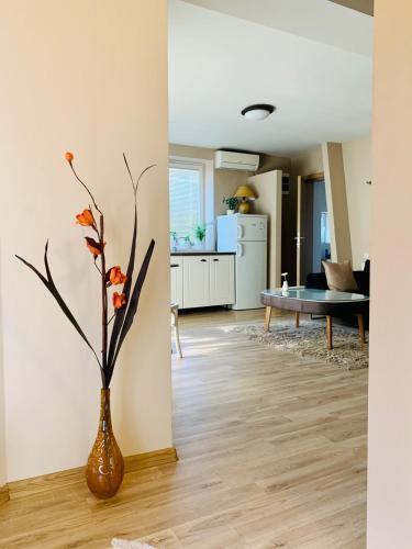 Apartamento Black Amber