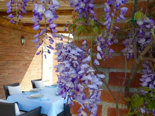 Casa Vacanze Cerine