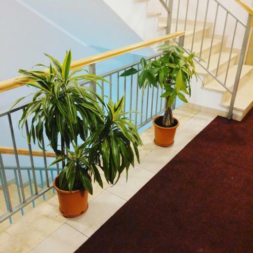 Apartamento City Kvart Na Dan