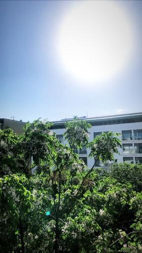 Apartamento Top-top