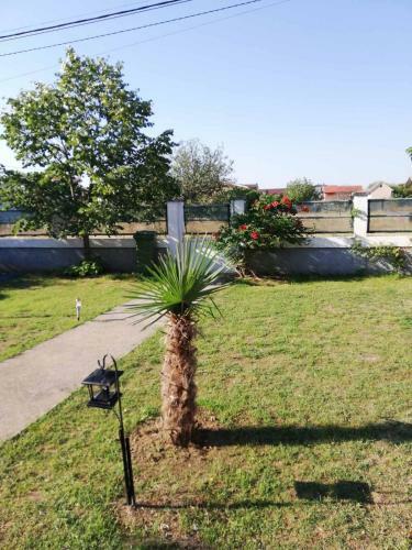 Apartamento Prima House
