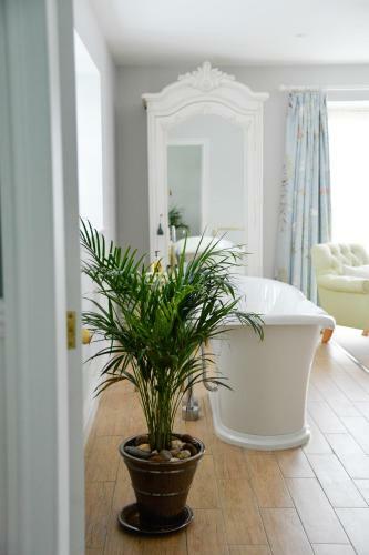 Nyland Manor B&B