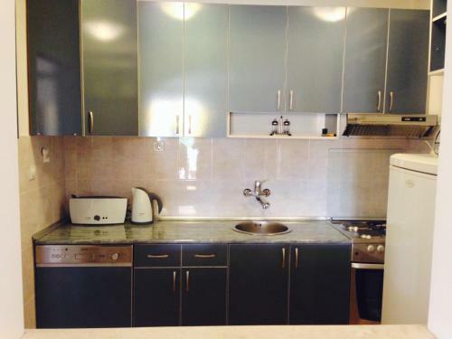 Home Apartment Petrovac