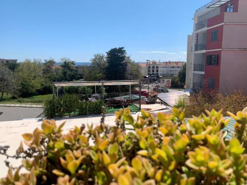 Apartamento Terrace Studios Petrovac