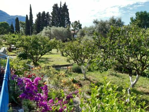 Family Apartment Garden And Sea