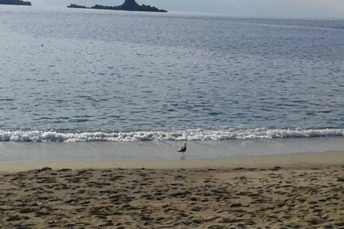 Apartamento Cozy 1 Bedroom Flat Near Petrovac Beach