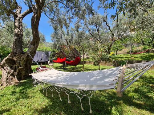 Villa Olive Garden Apartment