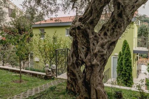 Villa Olive Garden Apartment