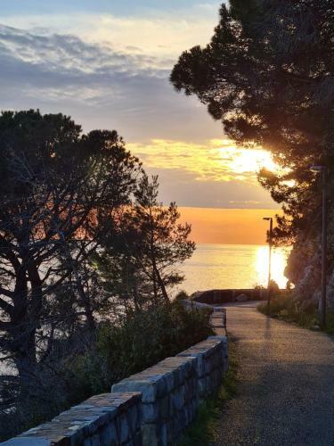 Villa Olive Garden Apartment