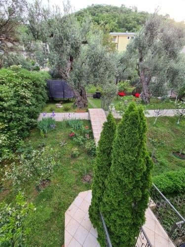 Villa Olive Garden Apartment
