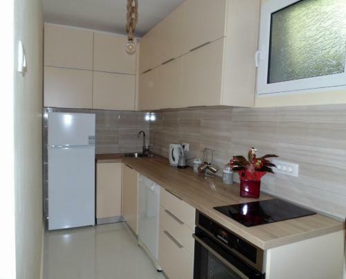 Apartamento Brnovic
