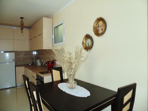 Apartamento Brnovic