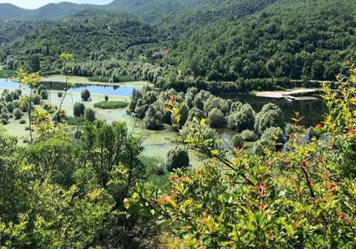 Apartamento Brnovic