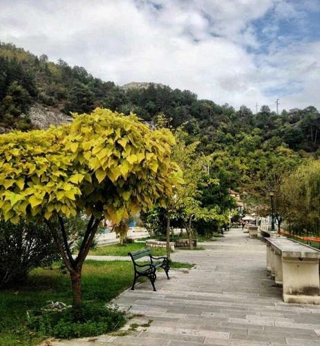 Apartamento Brnovic