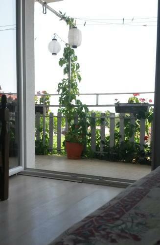 Marko Apartments
