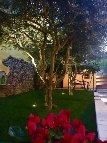 Bed & Breakfast Cam�